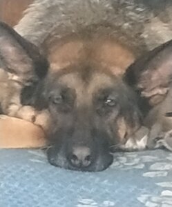 RitaRey My Jessica Pic 5