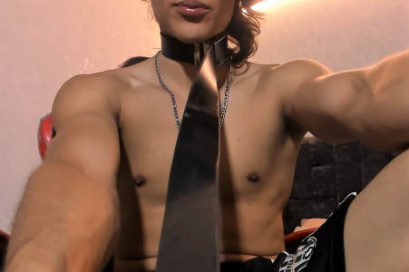 Noha_castellano C̸A̸S̸T̸E̸L̸L̸A̸N̸O̸ Gambar 2