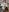 Constancia_pureOh, spinning照片 6
