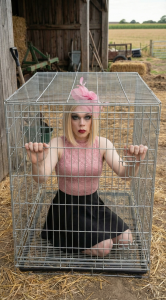 amandabarefoot: Pig Farm ( 3 фото)