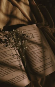 ThuBoppre sea ​​and books❤️ Pic 5