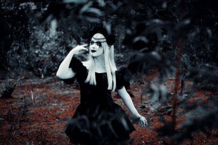 Zdjęcia AmmyScott The dark forest 🎃:  6