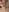 CutieEmy Cumshot Pics Pic 5
