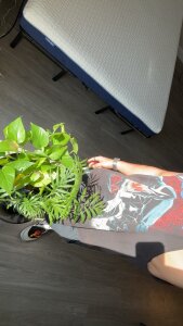 HUGE_TINO 😈😈😈 Εικόνα 4