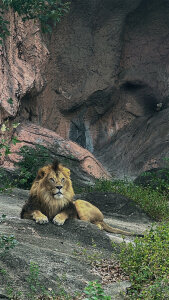 PickUp_me 的XXX裸体图片 2