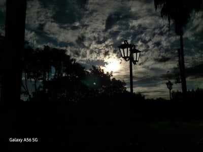 MACKALIX Rr Billede 4