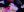 Ivey_and_James Rex Bad Dragon Blow Job Cumshot Photo 9
