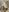 DollyPixel For my fans Pic 5