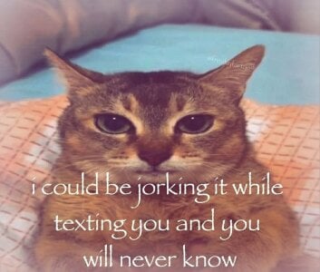 Awawrin stolen jpegs bin  7. fénykép