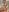 Lia__Love Baby in the bathroom- naked and wet 🥰 Pic