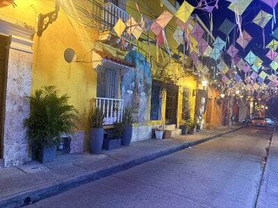 Sophia_wilsonn_ This is also Colombia Immagine  3