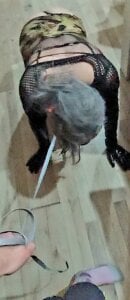 DiamondDrillBit: Av-av ( 5 фото)