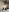 HoneyAndBee2 Foxy hot album for my best fans :3 Pic 4