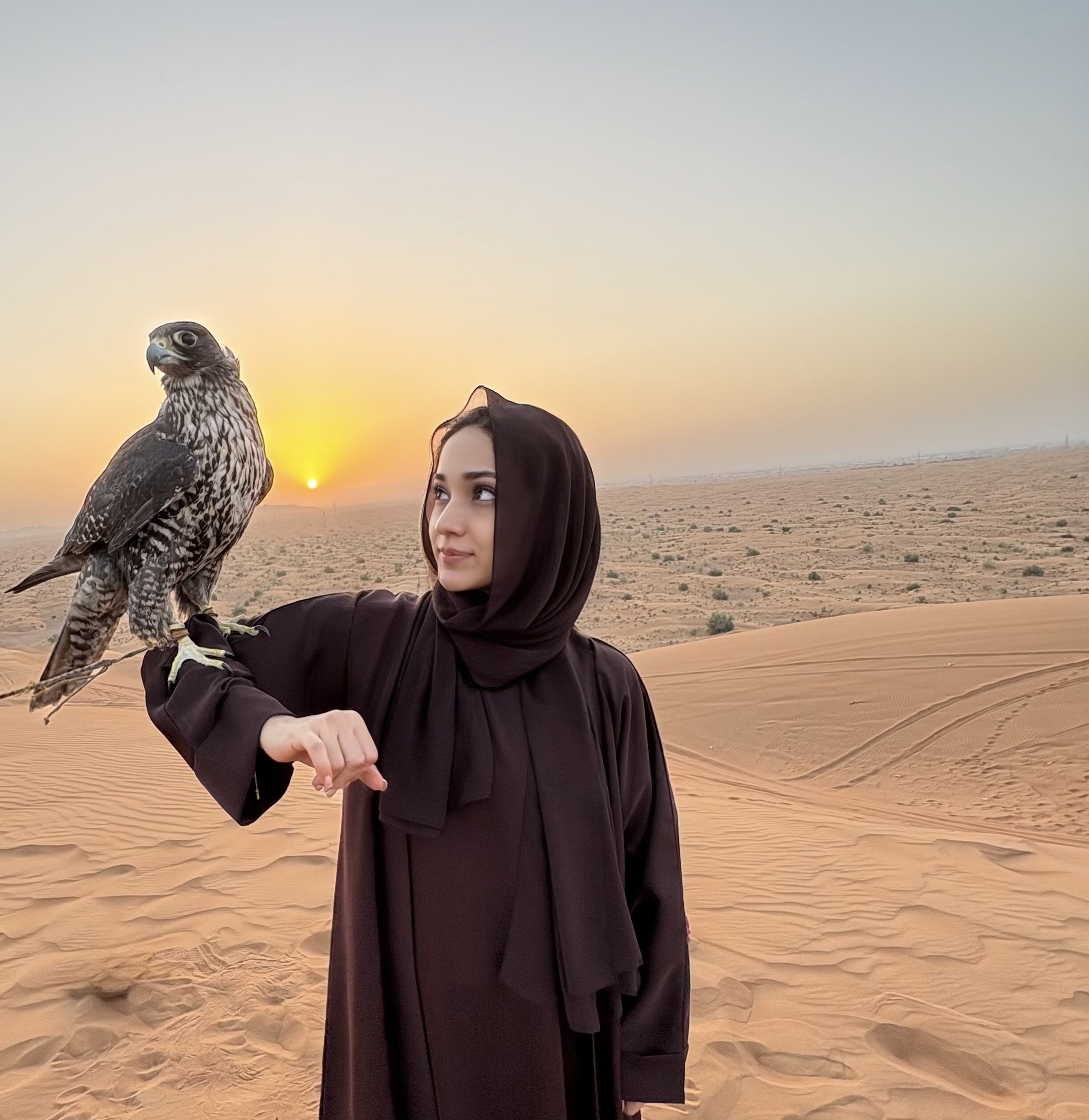 madawioud