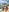 LoveShae_ Costa Rica Poolside Pussy, Ass, & Titty PICS Pic 7