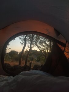 Dirty_PinkPublic Bild 2