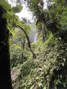 💚 od karlaa_megan  5 snímek