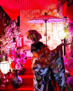 whitecat13 可愛的🐈 Foto 8