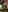Evelyn_Evyyy Fantasy combined with naked Pic 8