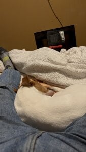 gigetto1977 Public Pic