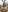 Samantha_official Blasehase aus dem Wald hat das Gesicht voller Sperma 💦 Foto 4