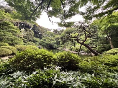 Fukumiyuuu Public Pic 5