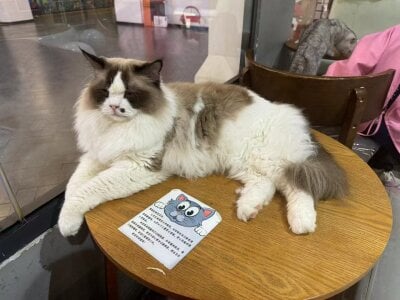 MMDD77Public图片 4