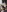 Calypso_and_Dimitri Calipso Body Pic 7