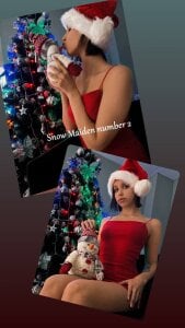 Snow Maiden Competition! Vote for the one you like de SandraTucker  Imagens