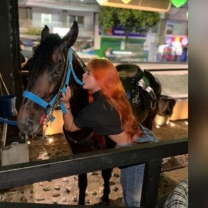 Amber_Martins_ My love 🐎 Εικόνα