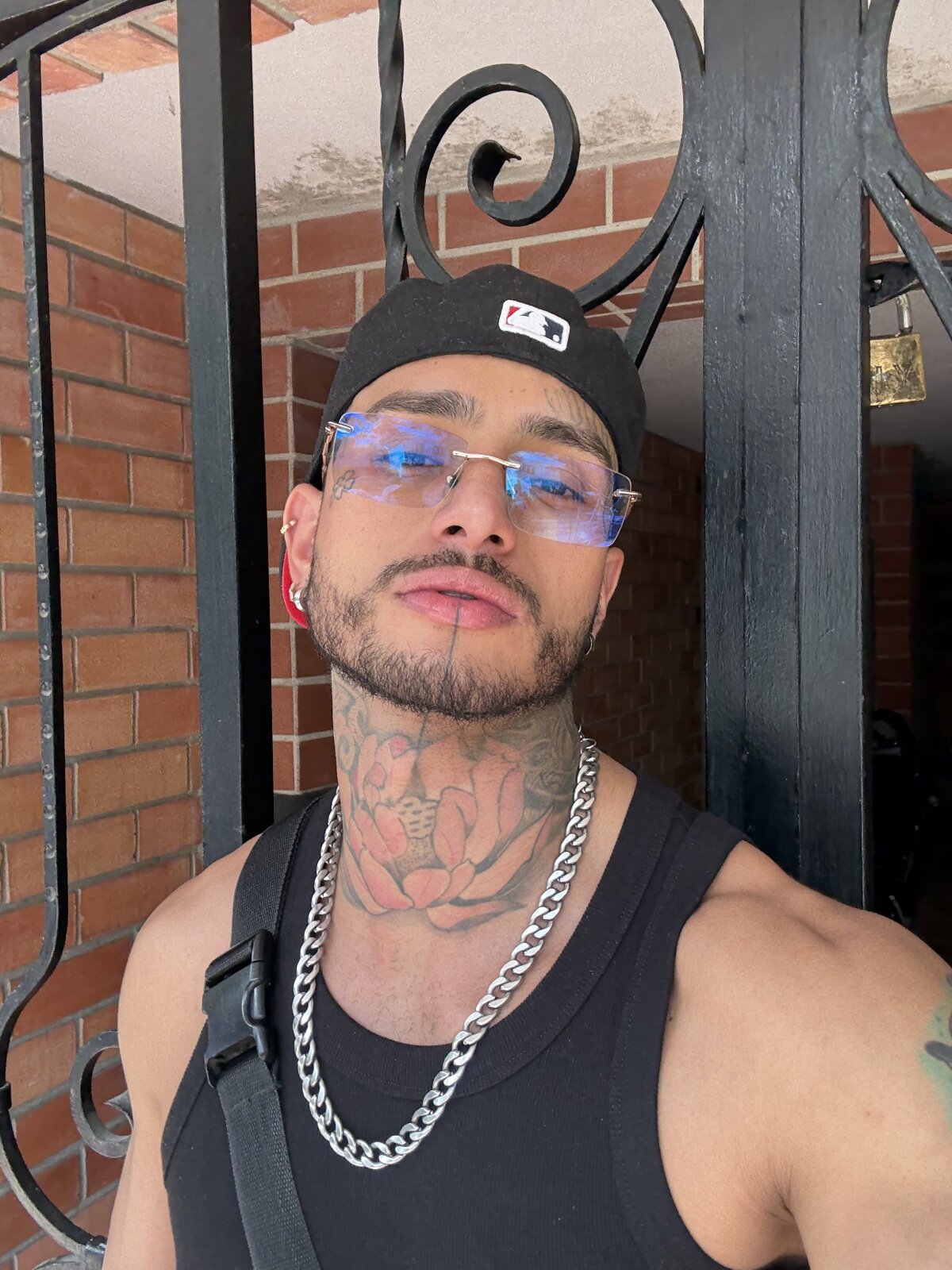 Alanrodgers Poză populară 2694