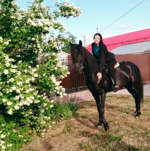 DieraFenney Public 사진 4