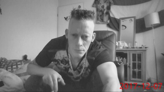 THC81NL TOMMIE XL Pic