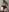 alana15 Lingerie 🥀 Pic 4
