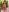 Summer exotic look de EvaZane  8 Imagens