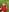 FayeFlame Red Bloom in the Field Pic 6