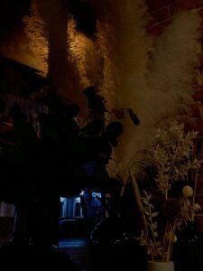 StellaZeolla Little Moments Pic 2