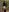 _Monic_ Naked monica in the woods Pic 2