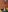 mom4you Erotic set 2025 Photo 7