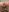 Louvette_13 Plug anal !!👅🔞 Foto  3
