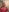 KaylaTrudi EXCLUSIVE BUNDLE👀 Pic 4