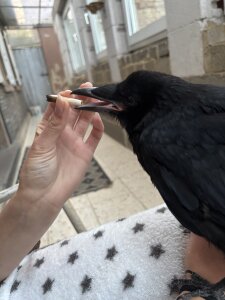 verhorny18 ☮️ Pic