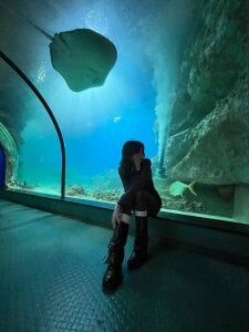 ReneeLippeatt Depths of the Ocean Pic 2