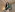 zlabiya_ Be an Obedient Servant in a Collar for Mistress Photo 3