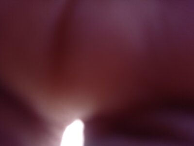 Kingshifter Public  4টি ছবি