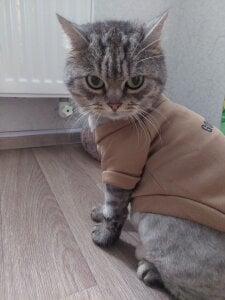 MelissaMays 😸😸😸 Immagine 