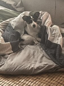 Alvin__Lin Public Pic 2