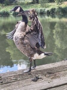 xhamsterlivelukas Public Pic 4