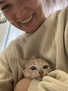 Alice_Amou a team of warmth and magic, filling every day with joy, purring and cheerful barking💖 Pic 3