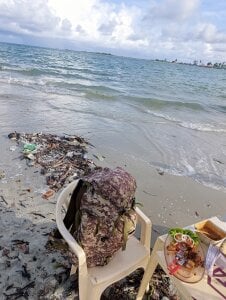 Public de omagrinho_dotado  5 Imagens